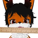 foxruler